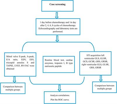 Early detection of chemotherapy-induced cardiotoxicity in breast cancer patients: a comprehensive analysis using speckle tracking echocardiography